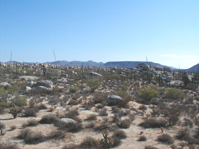 desert.jpg